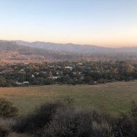 IMG_0041