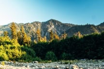 Forest Home Christian Family Camp